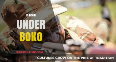 Unraveling Misconceptions: Benin's Stand Against Boko Haram