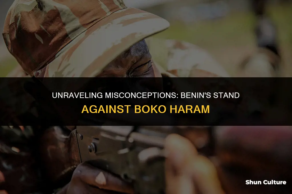 is benin under boko
