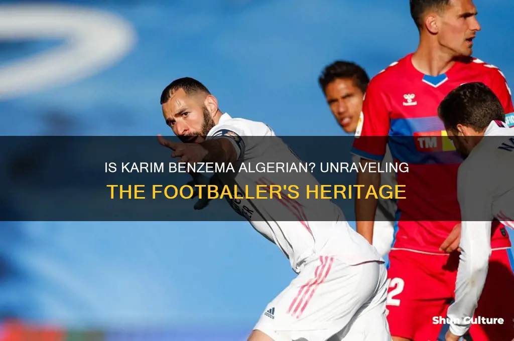 is benzema algerian