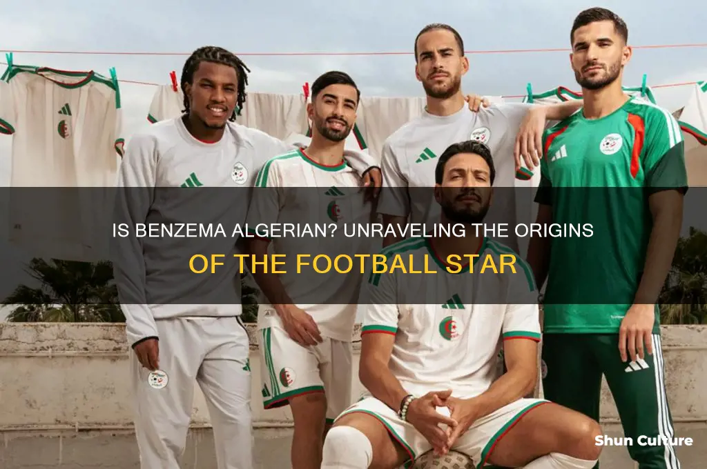 is benzema from algeria