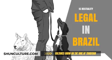 Understanding the Legal Landscape of Bestiality in Brazil