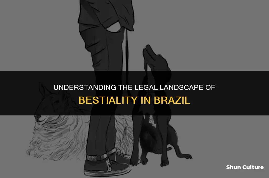 is bestiality legal in brazil