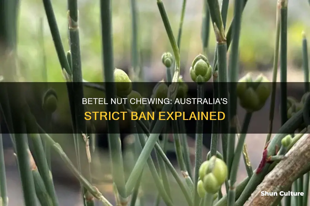 is betel nut illegal in australia