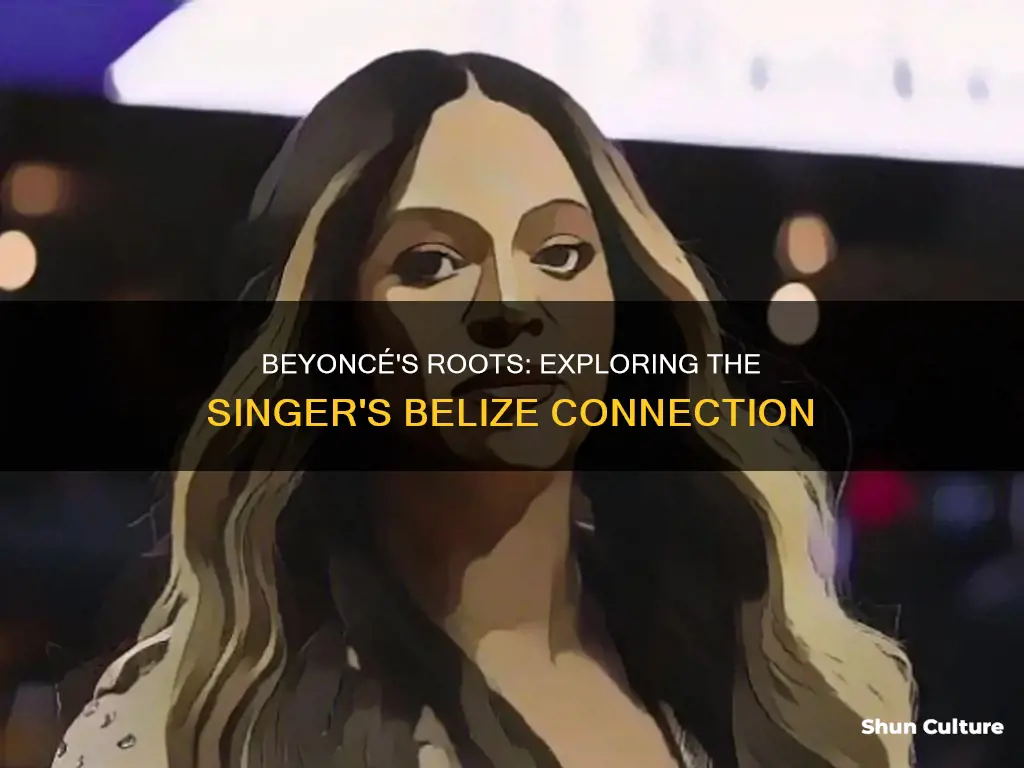 is beyonce from belize