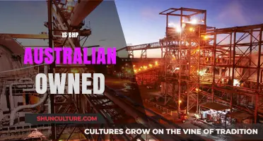 BHP's Ownership: Australian or Global?