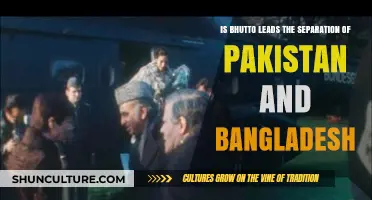 Bhutto's Role in Pakistan and Bangladesh's Separation: A Historical Analysis