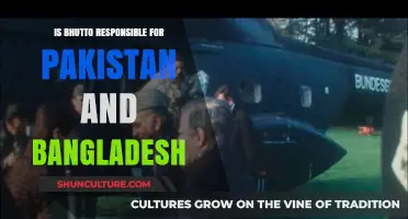 Bhutto's Role in Pakistan and Bangladesh's Division: A Critical Analysis