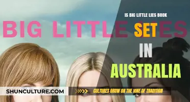Big Little Lies: An Australian Setting for a Thriller