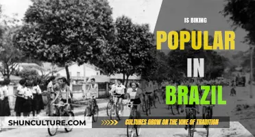 Pedaling Through Brazil: Uncovering the Country's Biking Culture