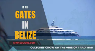 Bill Gates' Belize Mystery: Unraveling the Truth