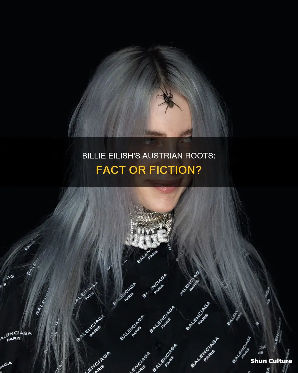 is billie eilish come from austria