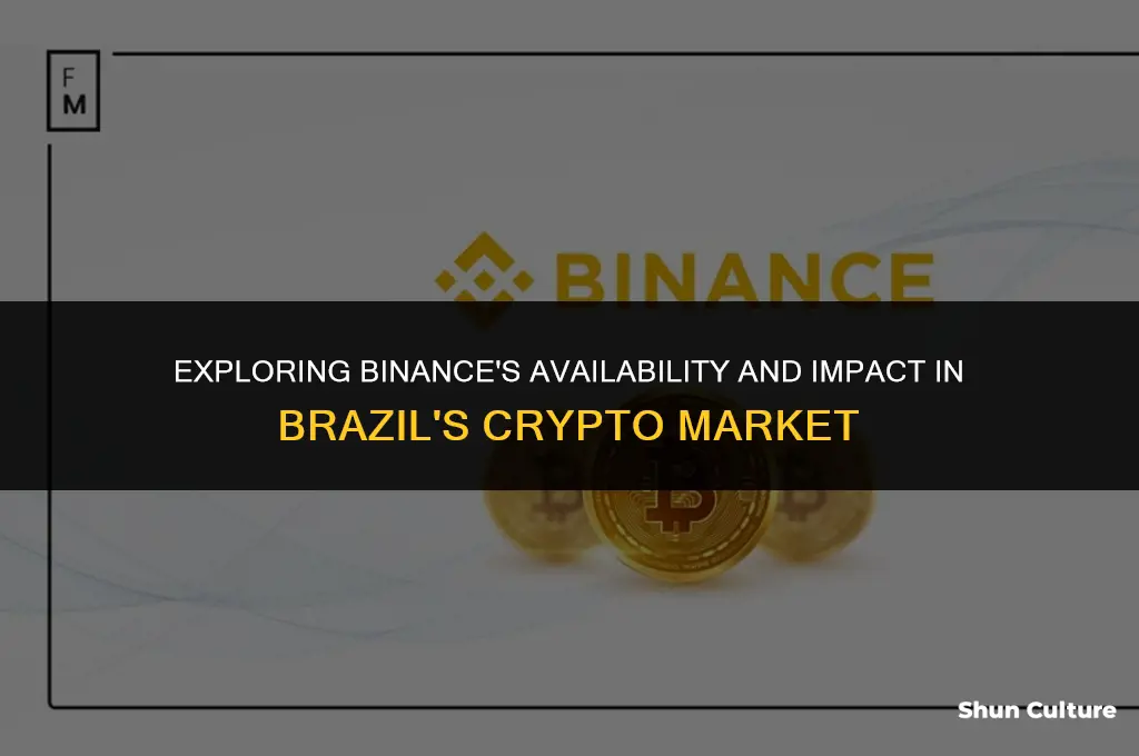 is binance available in brazil