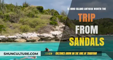 Bird Island Antigua: Is It Worth the Journey from Sandals?