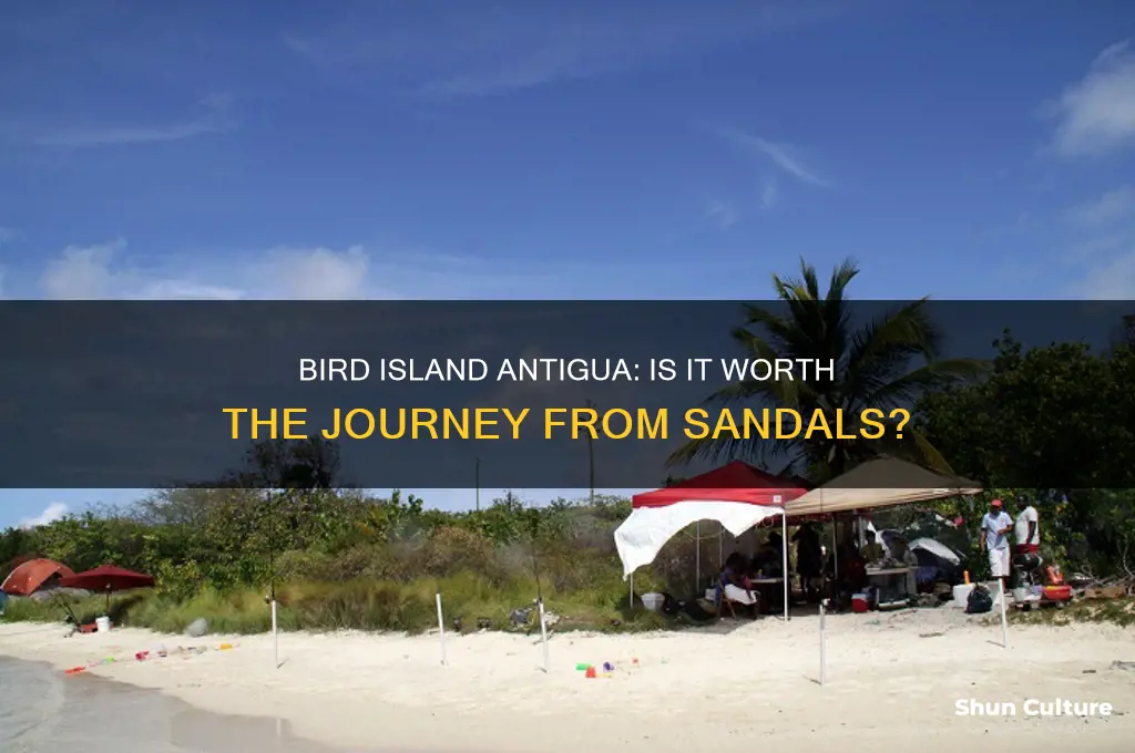 is bird island antigua worth the trip from sandals