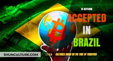 Exploring Crypto Adoption: Is Bitcoin Accepted in Brazil?