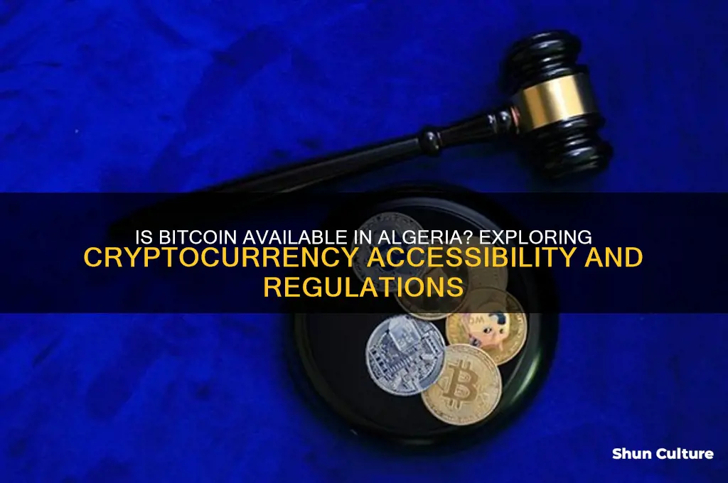 is bitcoin available in algeria