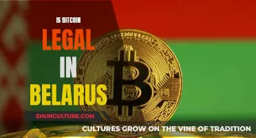 Belarus' Stance on Bitcoin Legality: Explained