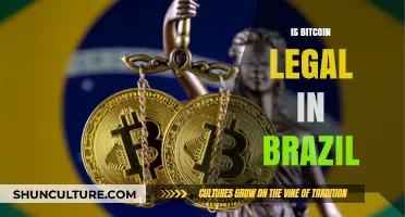Decoding the Legal Landscape: Bitcoin's Status in Brazil