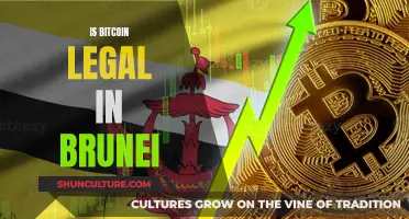 Bitcoin in Brunei: Is It Legal?