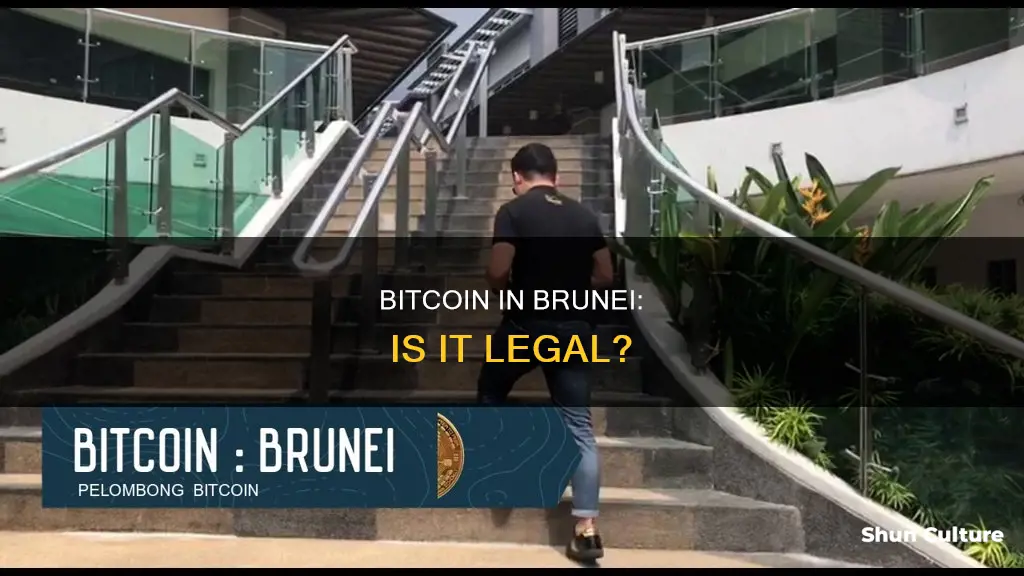 is bitcoin legal in brunei