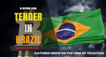 Decoding Digital Currency: Is Bitcoin Legal Tender in Brazil?