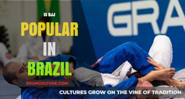 Exploring the Roots: Brazilian Jiu-Jitsu's Popularity in Brazil