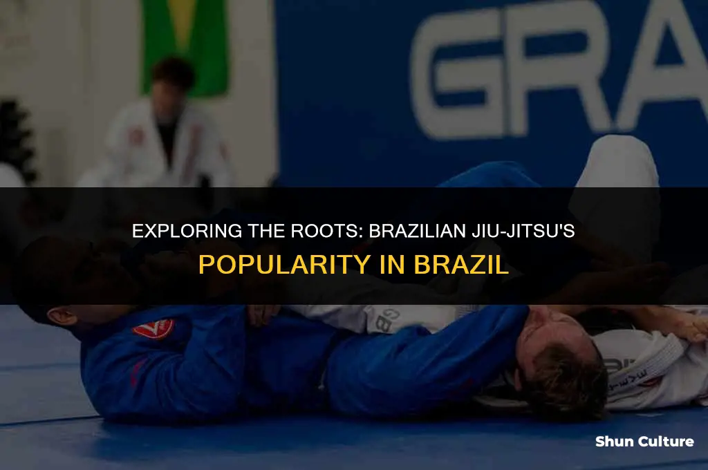 is bjj popular in brazil