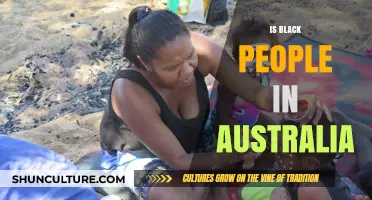 Black Australians: Their History and Current Struggles