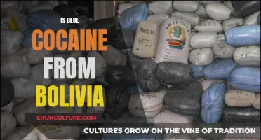 Blue Cocaine Mystery: Bolivian Origin or Urban Myth?