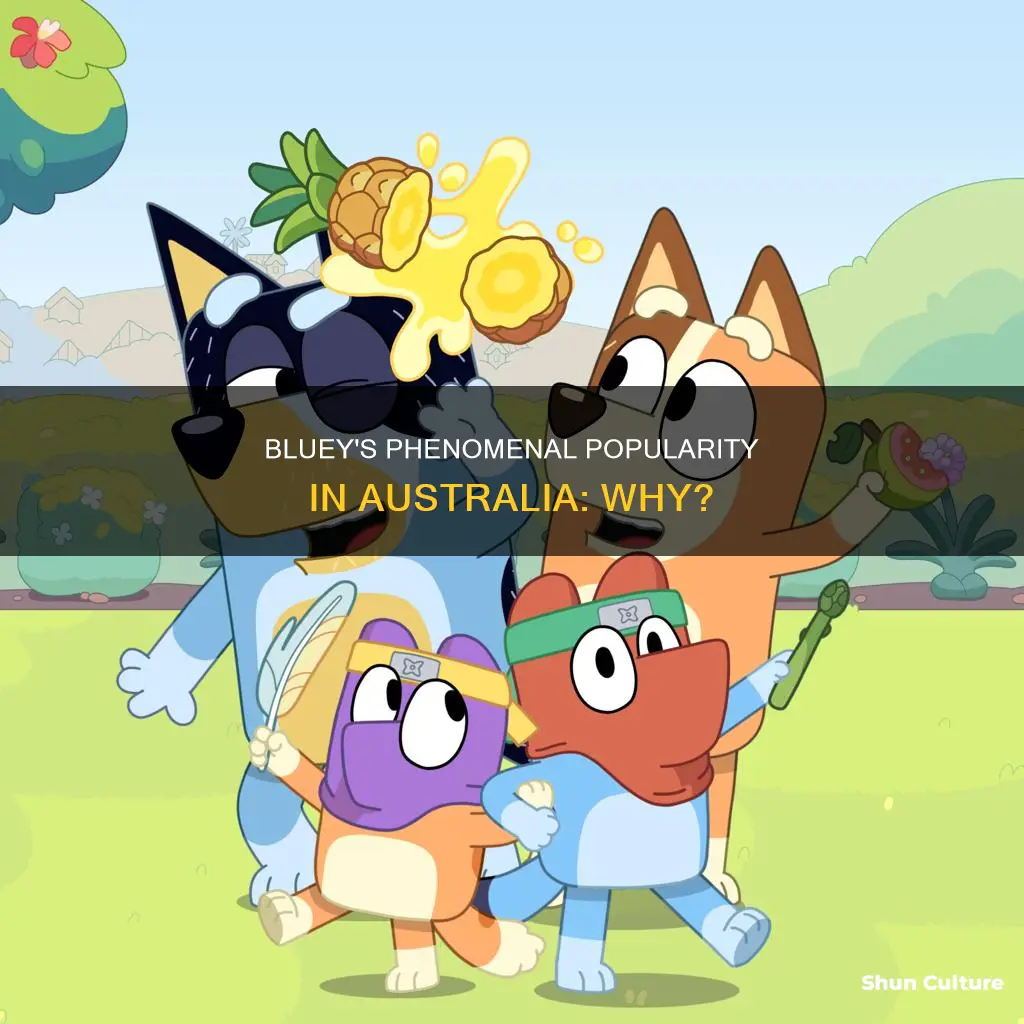 is bluey popular in australia