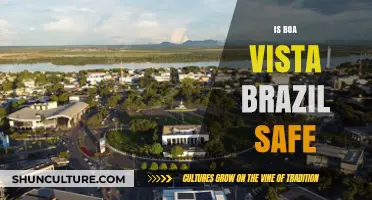 Exploring Safety in Boa Vista, Brazil: A Traveler's Guide