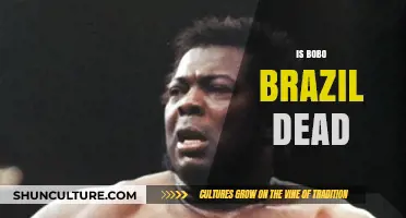 The Enigma of Bobo Brazil: Alive or Dead?