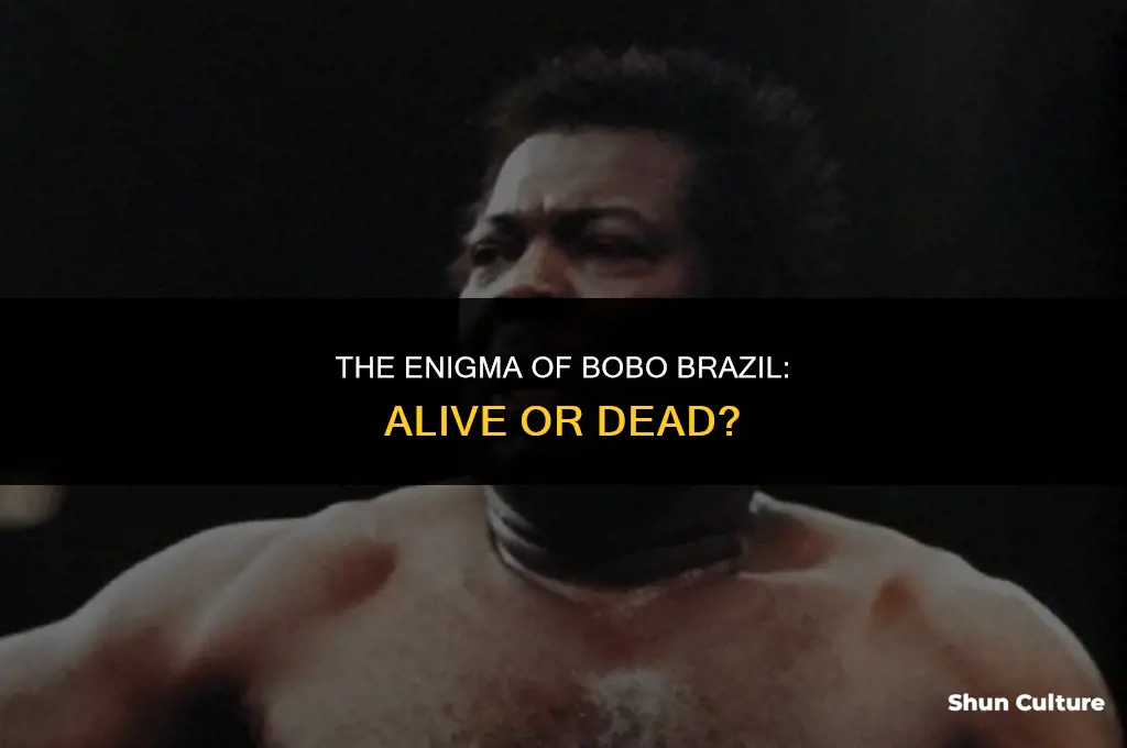 is bobo brazil dead