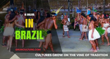 Exploring Bolivia's Cultural Presence in Brazil: A Deep Dive