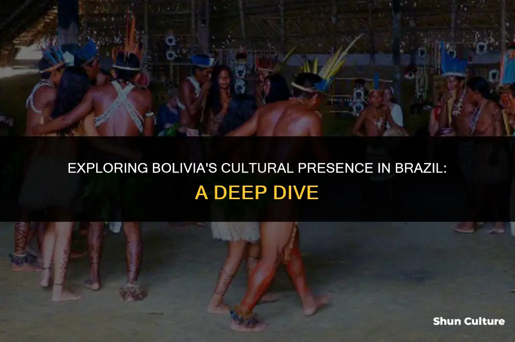 is boliva in brazil