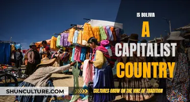 Bolivia's Capitalist Structure: A Country's Economic Identity