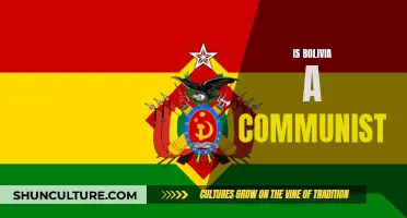 Bolivia's Political Spectrum: Communist or Not?