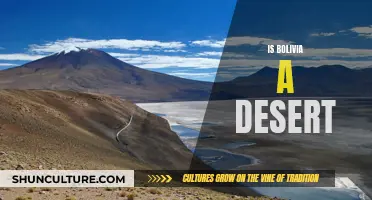 Exploring Bolivia: A Desert or a Diverse Landscape?