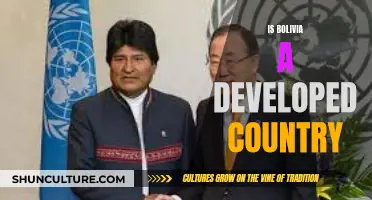 The Reality of Bolivia's Development Status: A Country in Transition