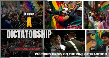 Bolivia's Political Landscape: Dictatorship or Democracy?