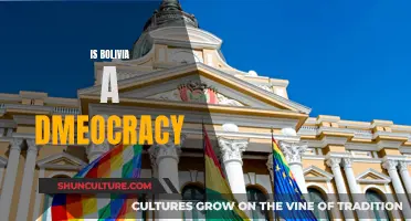 Bolivia's Democratic Status: Examining its Political System