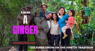 Bolivia's Ginger Identity: A Cultural Conundrum