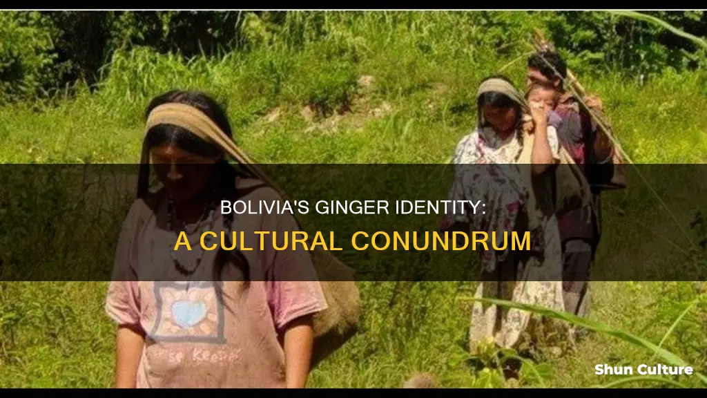 is bolivia a ginger