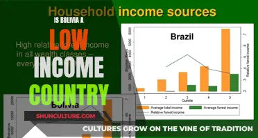 Bolivia's Income Status: A Comprehensive Overview