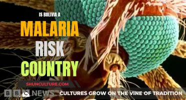 Malaria Risk in Bolivia: Is It Safe to Travel?