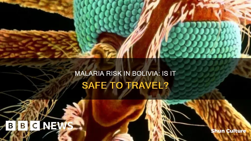 is bolivia a malaria risk country