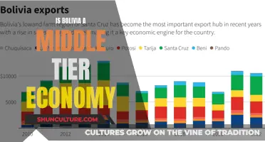 The Evolution of Bolivia's Economy: Middle Tier Status