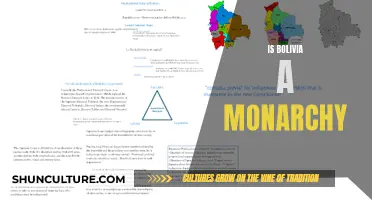 Bolivia's Political System: Monarchy or Republic?