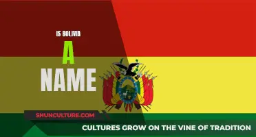 Bolivia: A Country's Name and Its Significance