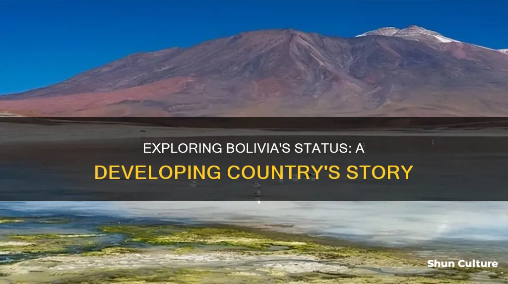 is bolivia a second world country